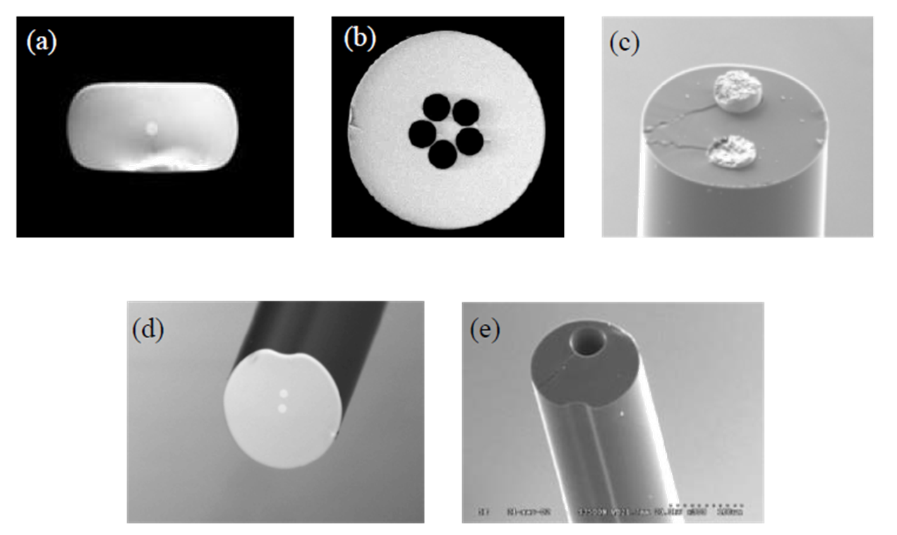 Specialty optical fiber